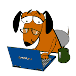 собака мэил ру работает за ноутбуком